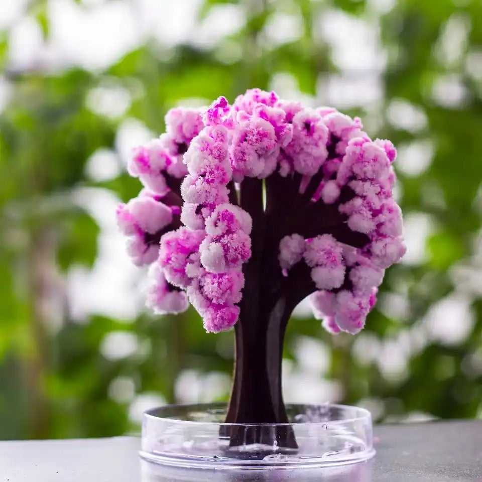 MagicBaum Pink - MeSilver